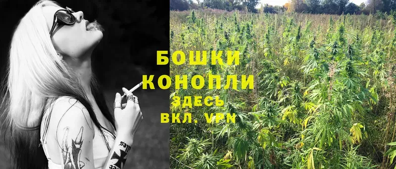 гидра ссылки  Зея  МАРИХУАНА THC 21%  где можно купить наркотик 